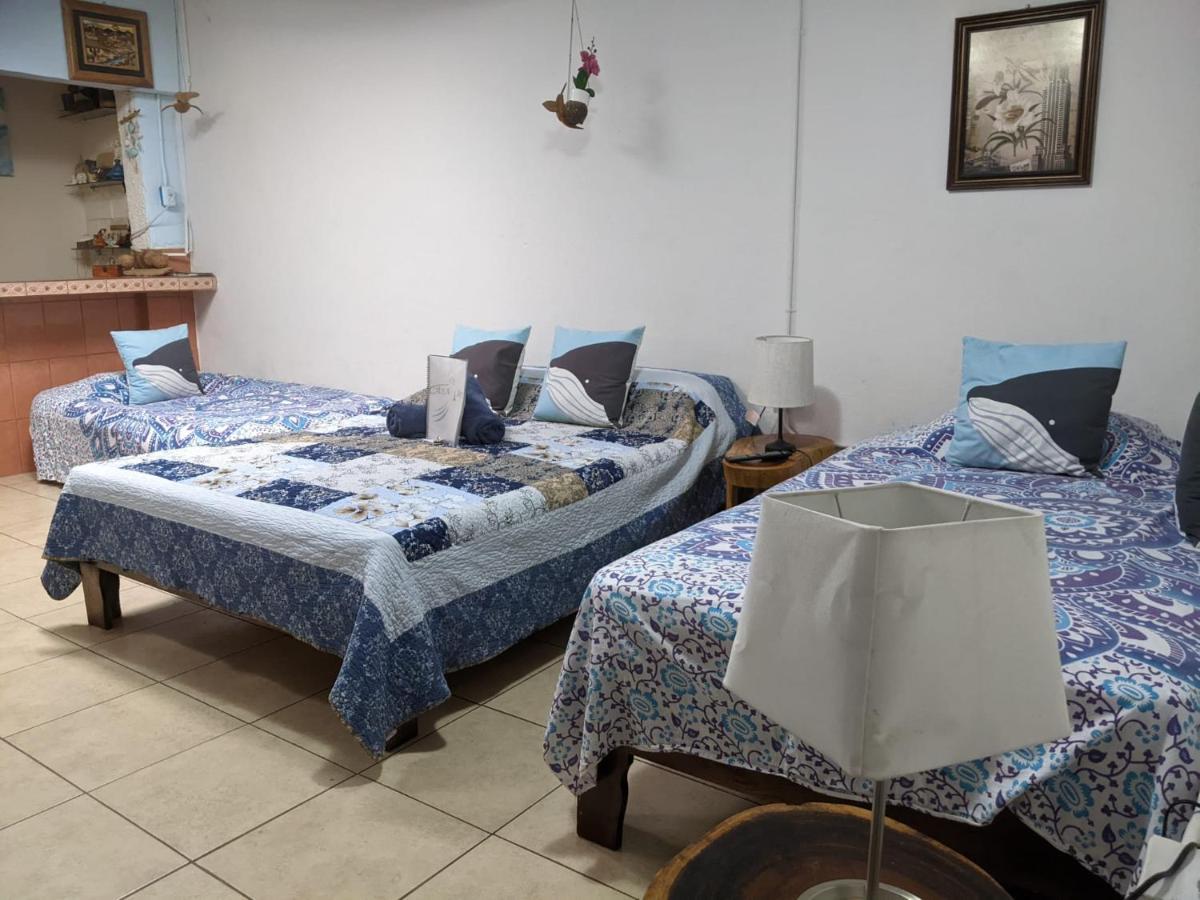 Guesthouse Casa Lapa2 Alajuela Екстериор снимка