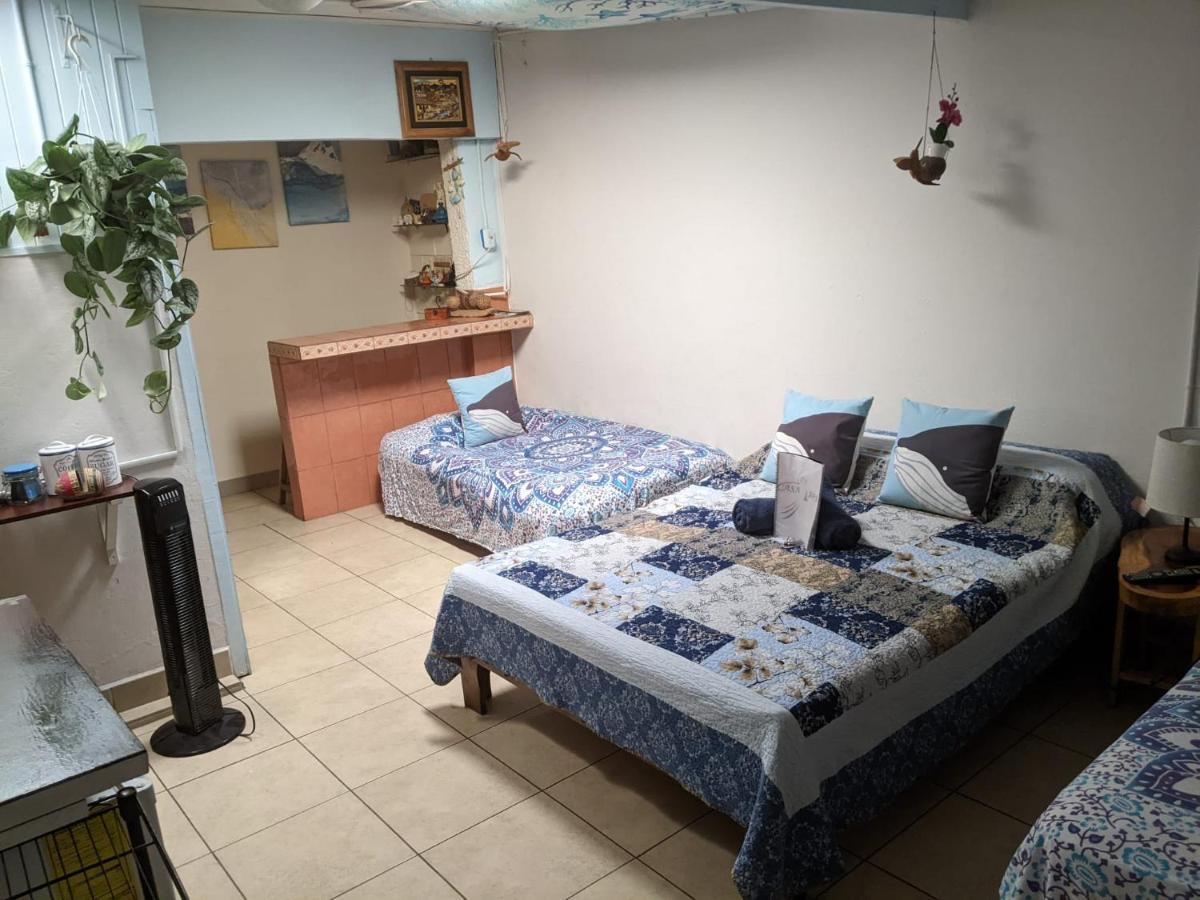 Guesthouse Casa Lapa2 Alajuela Екстериор снимка