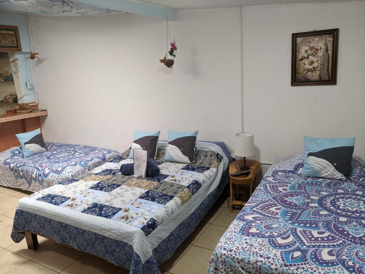 Guesthouse Casa Lapa2 Alajuela Екстериор снимка