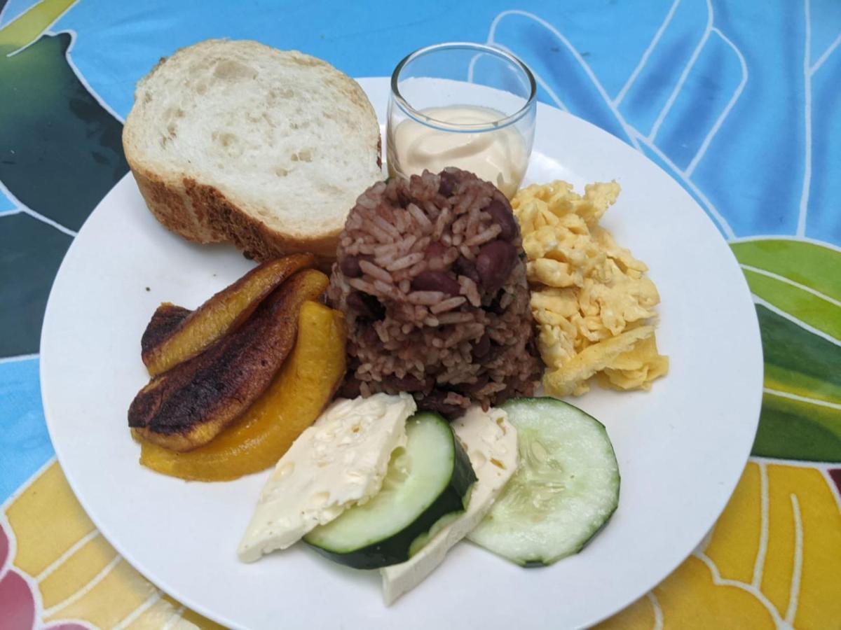 Guesthouse Casa Lapa2 Alajuela Екстериор снимка